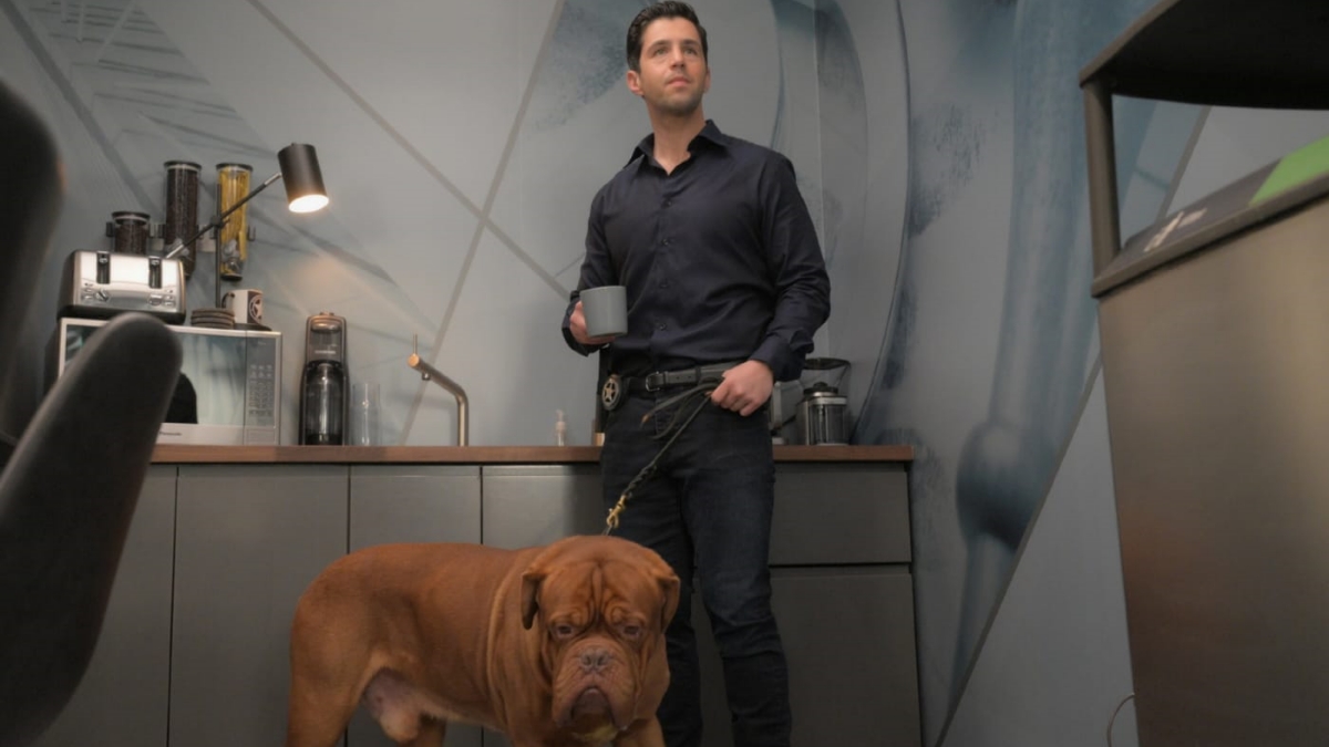 Turner e Hooch: Josh Peck tem que cuidar do cão arteiro de sua família em trailer da nova série do Disney+