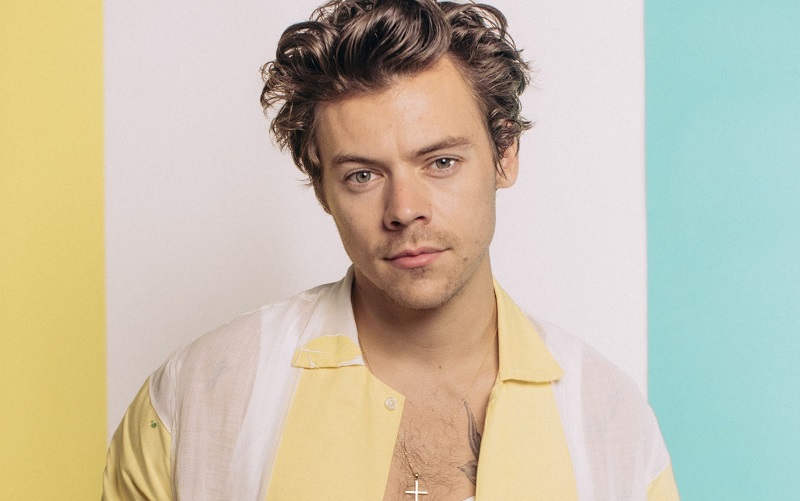 Harry Styles se torna exemplo para população revelando o que está fazendo durante a quarentena